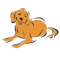 Bakkevang Hundepension