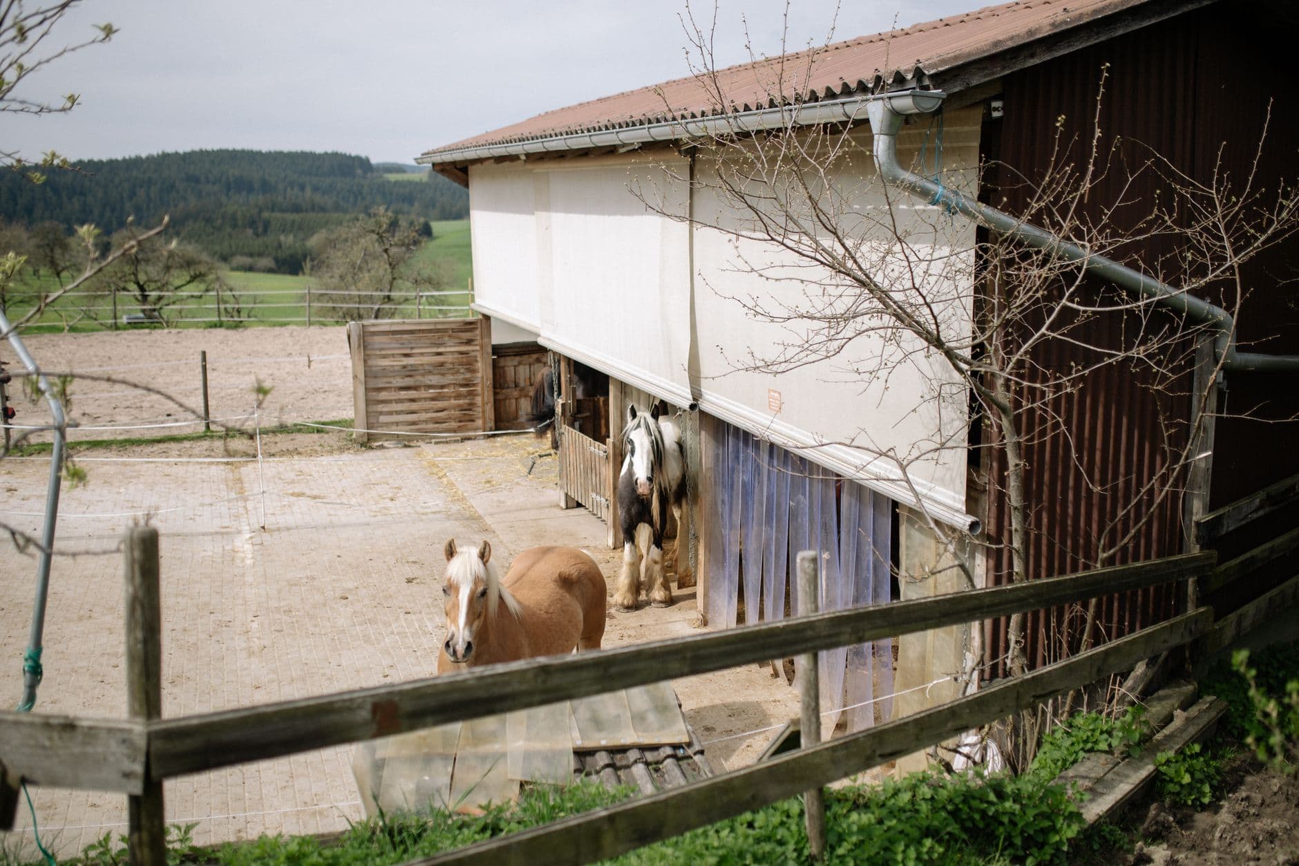 Hestepension