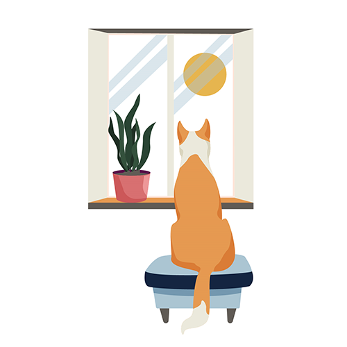 cartoon image of a dog sitting alone looking out a window