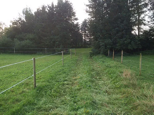 Mosevang Ridecenter, billede 2