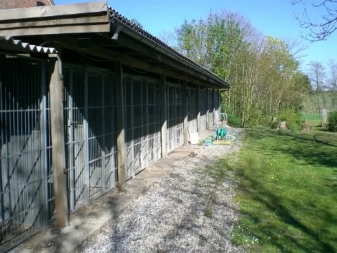 From’s Hunde og Kattepension, billede 2