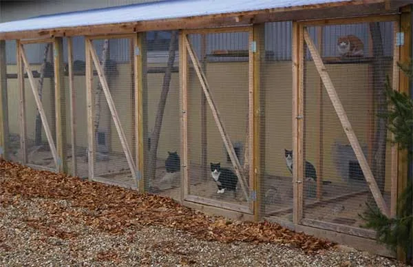 Gårsdal Katte- og Hundepension, billede 2