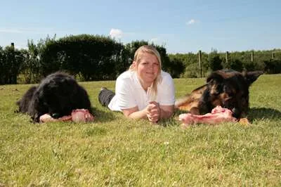 Langhorns Hundecenter, billede 2