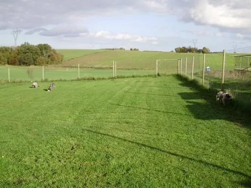 MARTEDAL Hundepension, billede 2