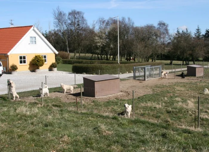 Vallumsøens Hundepension, billede 2