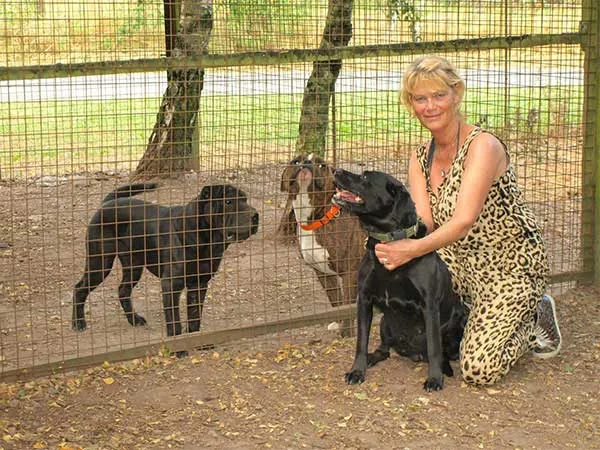 Ærtebjerg Hundepension, billede 2
