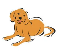 Bakkevang Hundepension