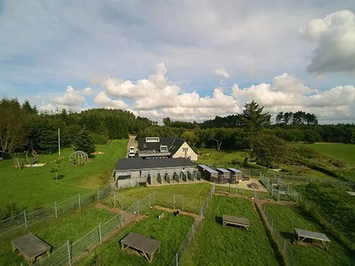 Feldballe Hundepension, billede 2