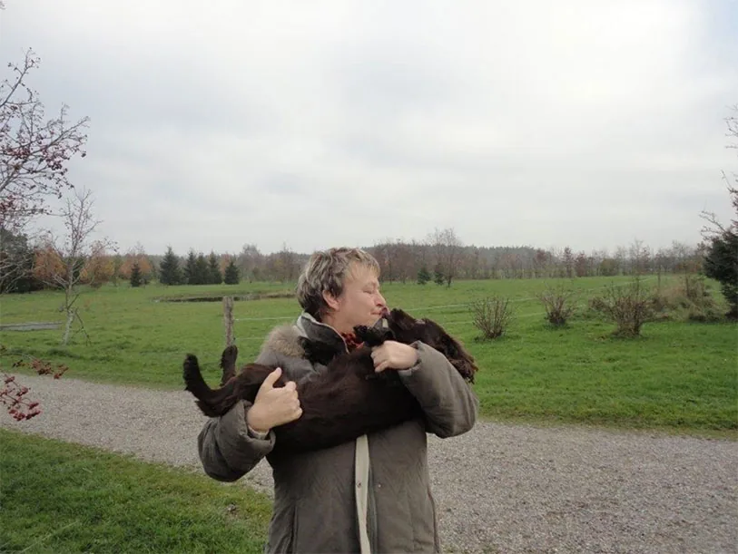 Hedens Hundehotel, billede 2