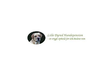 Lille Dyred Hundepension