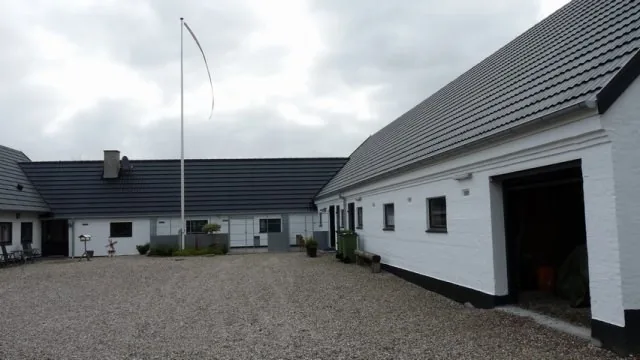 Lille Dyred Hundepension, billede 2