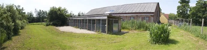 Hundepension Domus Canis, billede 2