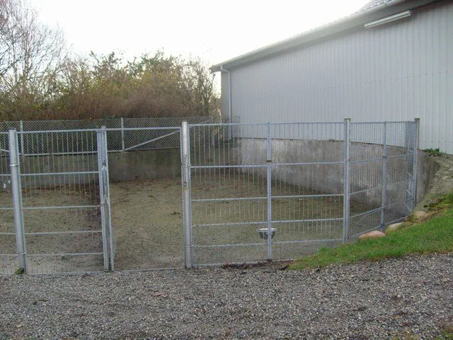 Lyne Hundepension, billede 2