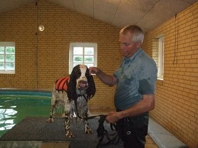 Midtjysk Hundecenter, billede 2