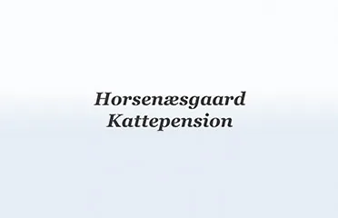 Horsenæsgaard Kattepension