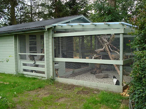 Horsenæsgaard Kattepension, billede 2