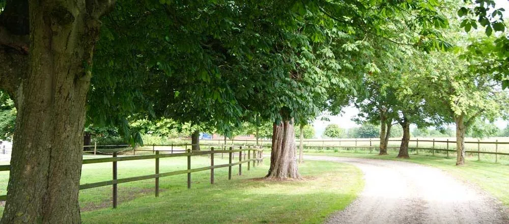 Cathrinebjerg, billede 2