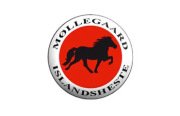 Møllegaard Islandsheste