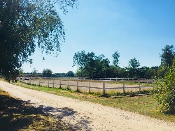 Fuglebækgård Hestepension, billede 2