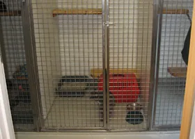 Hirtshals hunde- og kattepension, billede 2