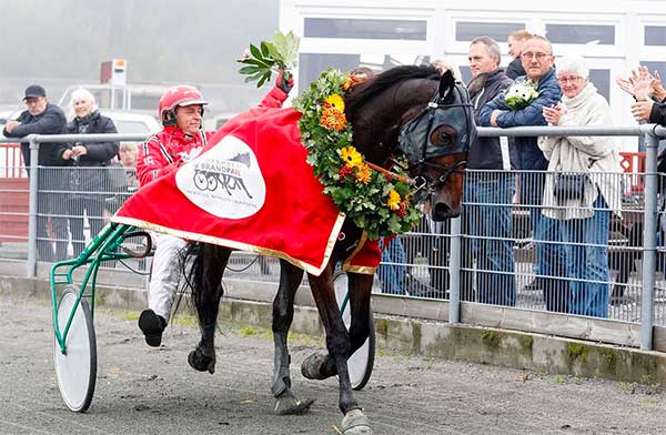 Healthy Horse Bornholm