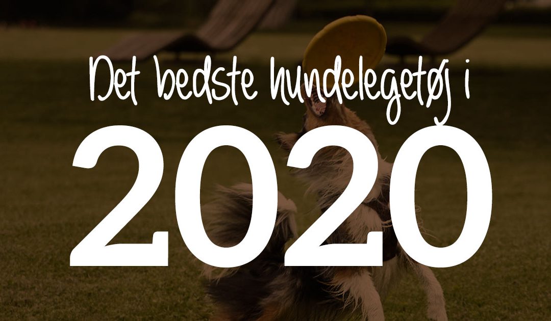 Det bedste hundelegetøj i 2023