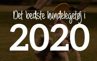 Det bedste hundelegetøj i 2025