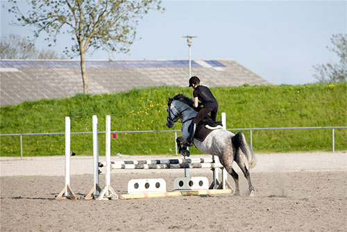 Aarhus Rideklub