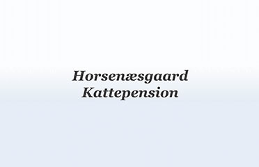 Horsenæsgaard Kattepension