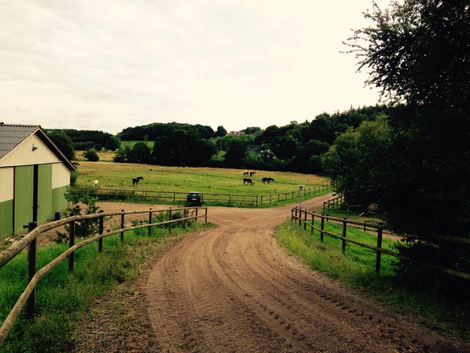 Randrup mølle Hestepension