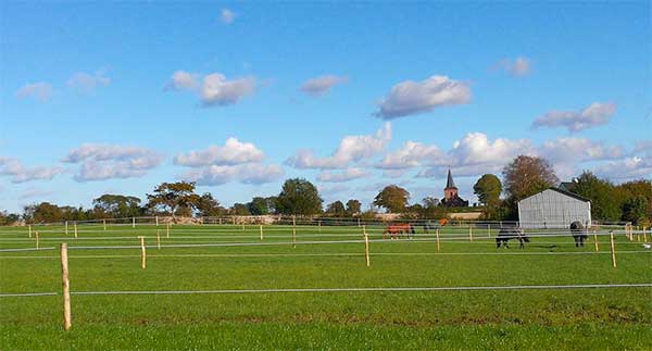 Hestepension Kolding