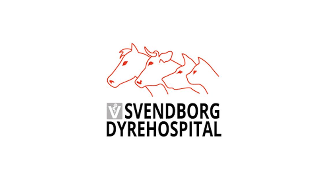 Svendborg Dyrehospital Kattepension