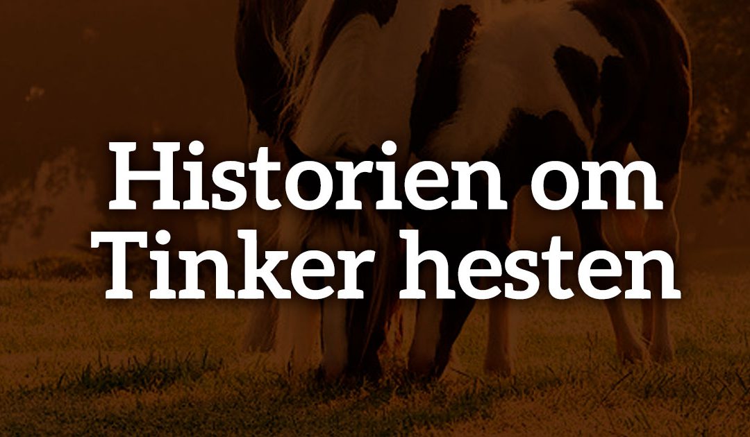Tinker hesten – den eventyrlige hests historie