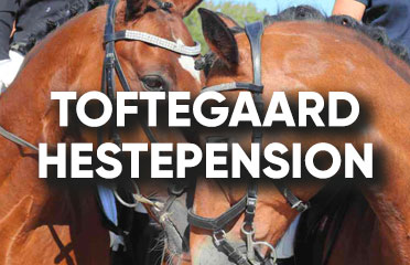 Toftegaard Hestepension logo