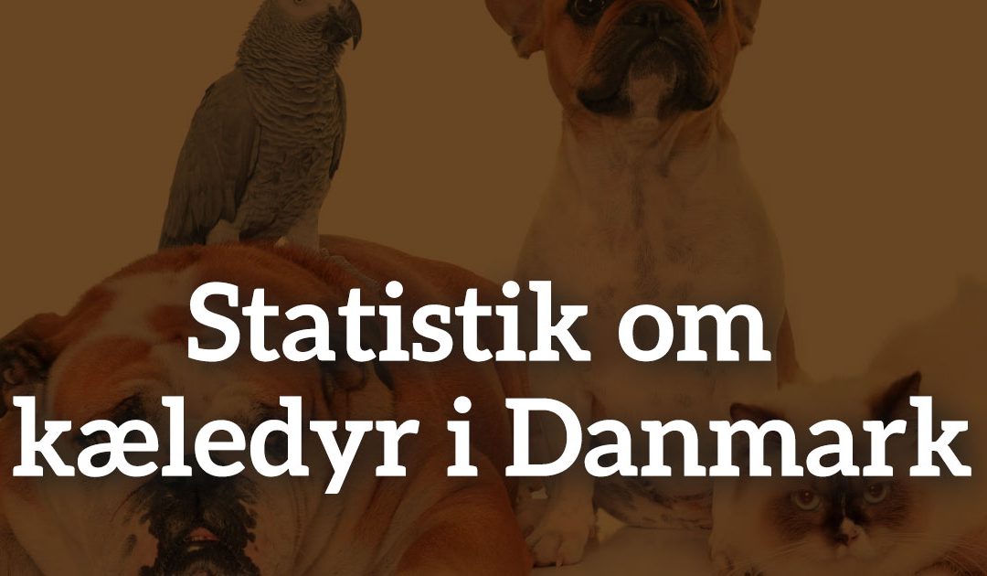 Statistik om kæledyr i Danmark (2000 + 2021)