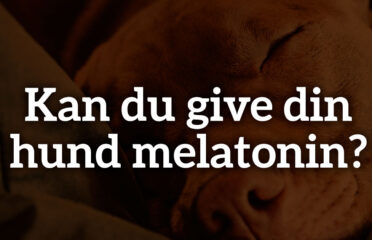 blog-grid-1-410x308