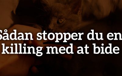 Sådan stopper du en killing med at bide