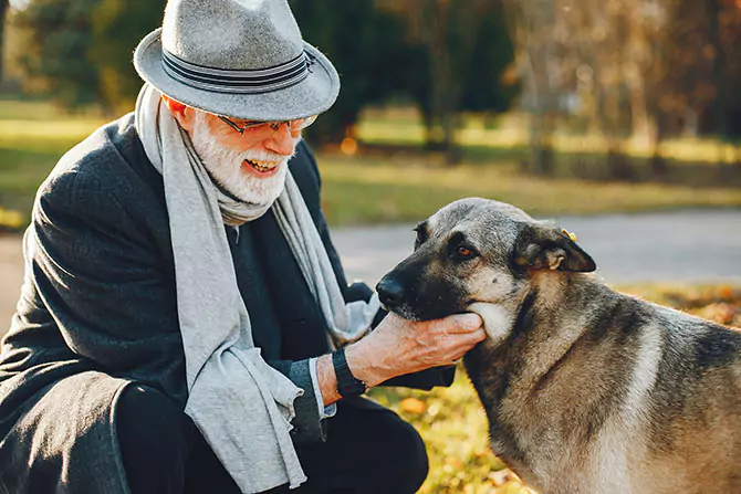 Gammel mand sammen med gammel hund