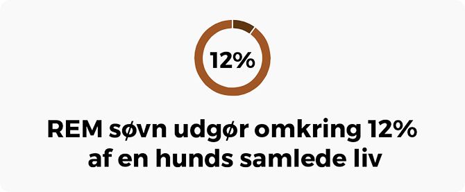 rem søvn hunde