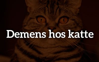 Demens hos katte