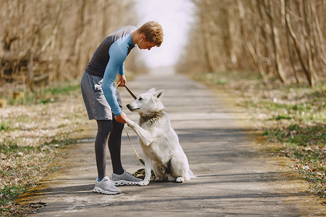 Fyr træner med hund