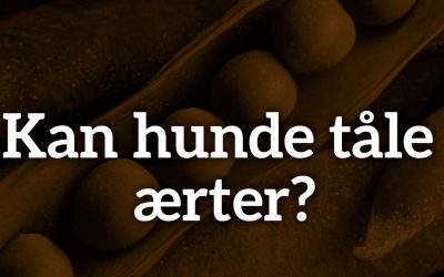 Kan hunde tåle ærter?