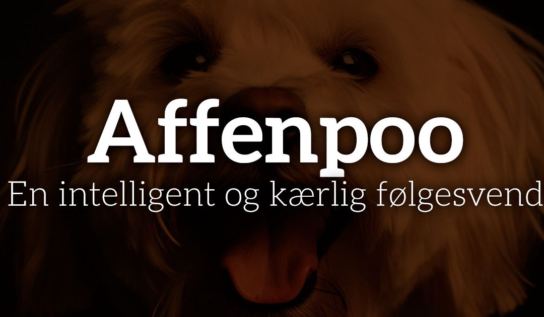 Affenpoo: En intelligent og kærlig følgesvend