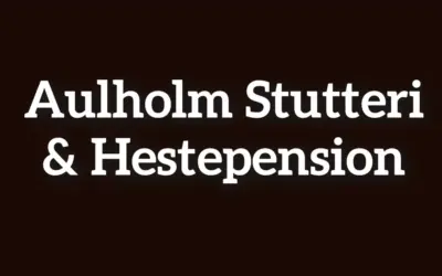 Aulholm Stutteri & Hestepension