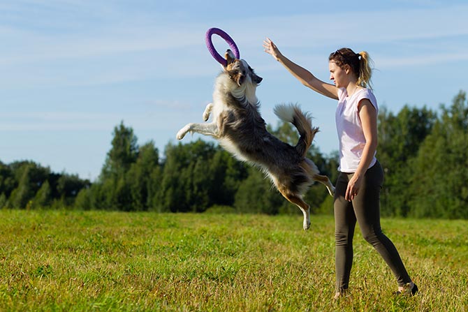 Pige træner med hund