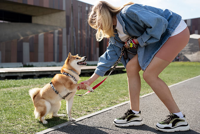 Pige træner med sin hund