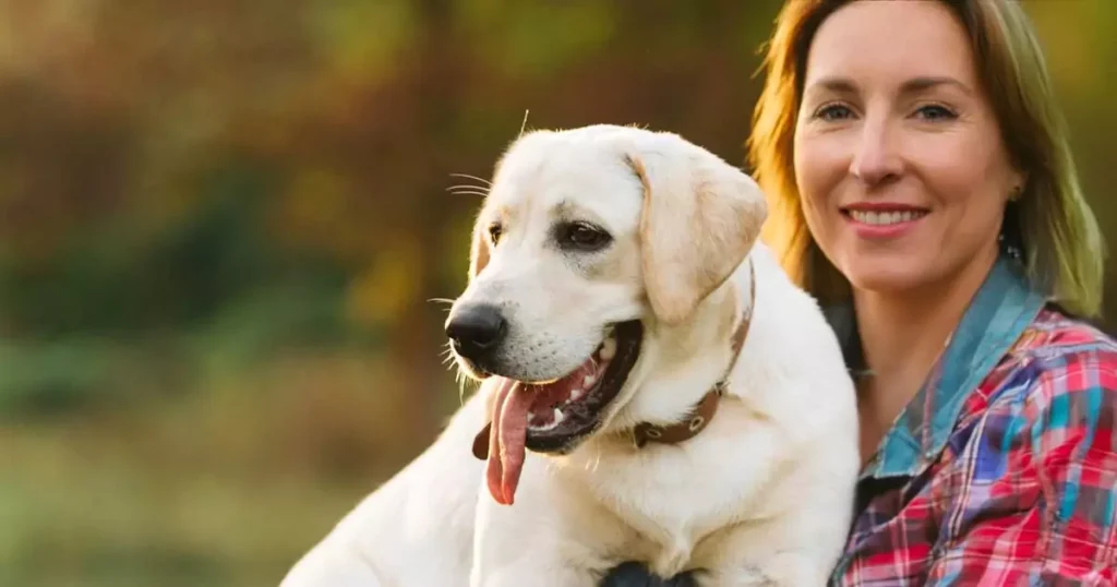 Hvad er probiotika til hunde