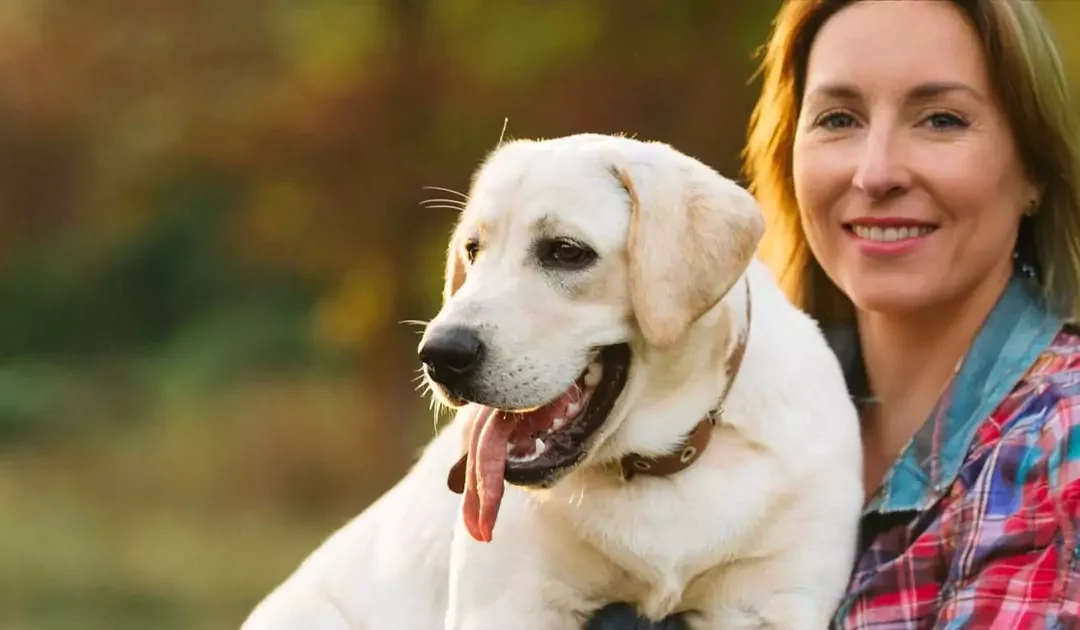 Hvad er probiotika til hunde?