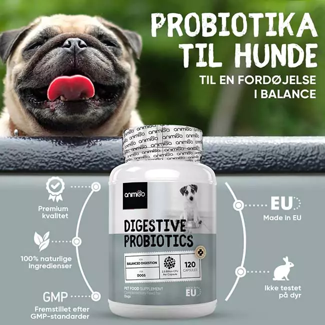 probiotika til hunde